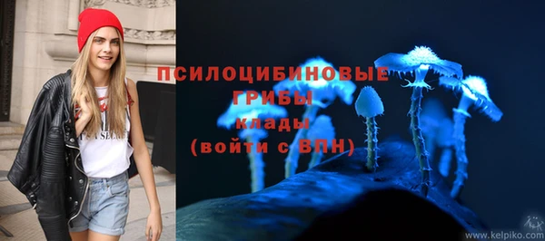 гашишное масло Заводоуковск